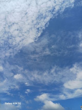 벼17790이정일님의 자유주제 · 자유게시판 작성글 사진