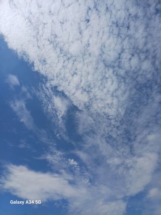 벼17790이정일님의 자유주제 · 자유게시판 작성글 사진