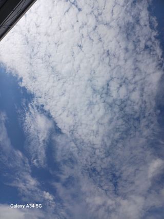 벼17790이정일님의 자유주제 · 자유게시판 작성글 사진