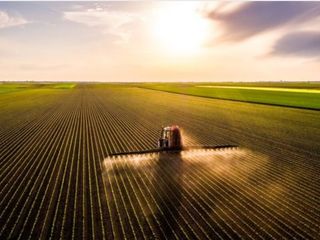 대산농사대장님의 작성글 사진