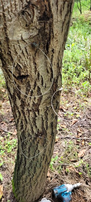 지재광님의 팜모닝 · 출석 작성글 사진