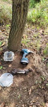 팜모닝 팜모닝·출석 게시글 이미지