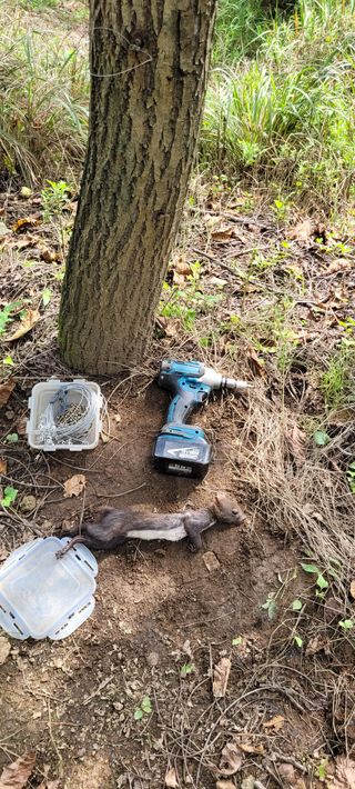 지재광님의 팜모닝 · 출석 작성글 사진