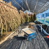 팜모닝 참깨·영농일지 게시글 이미지