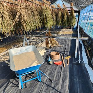 한상범님의 참깨 · 영농일지 작성글 사진