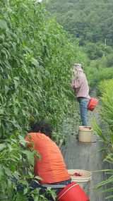 팜모닝 자유주제·자유게시판 게시글 이미지