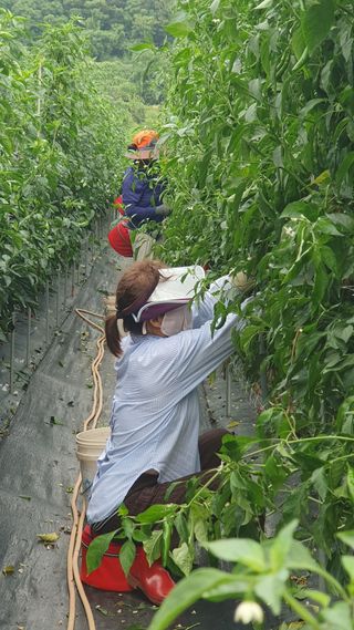 유형철님의 자유주제 · 자유게시판 작성글 사진