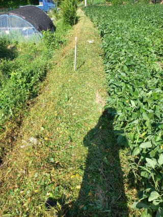 표고버섯18837님의 👍팜이웃 칭찬해요! · 참여글 작성글 사진