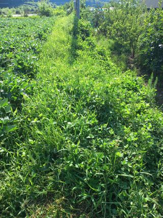 표고버섯18837님의 👍팜이웃 칭찬해요! · 참여글 작성글 사진