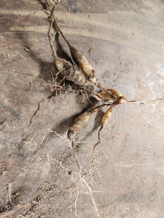 이창신님의 자유주제 · 자유게시판 작성글 사진