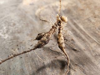 이창신님의 자유주제 · 자유게시판 작성글 사진