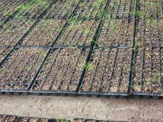 이창신님의 자유주제 · 자유게시판 작성글 사진