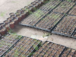 이창신님의 자유주제 · 자유게시판 작성글 사진