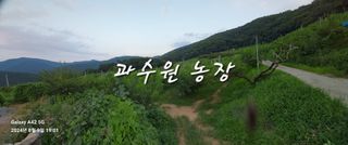 윤인원님의 자유주제 · 자유게시판 작성글 사진