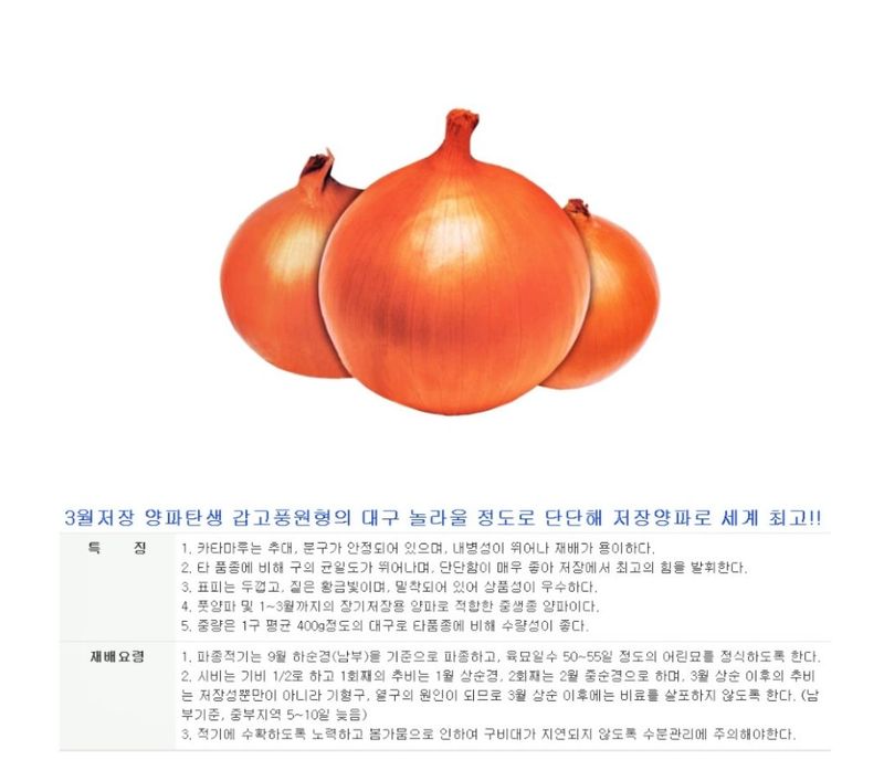 대산농사대장님의 장터 판매 상품 [카타마루 100g 양파씨앗 사은품 뿌리발근제] 첨부 사진