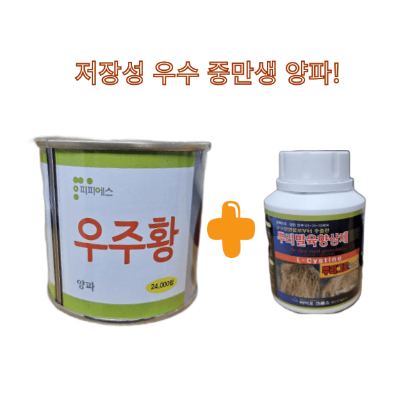 장터 상품 [빅할인 예약판매 우주황 양파씨앗 24000립  ] 썸네일