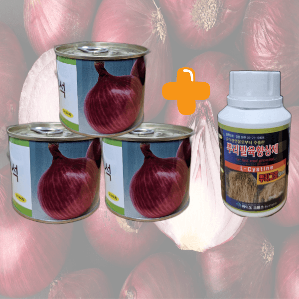 대산농사대장님의 장터 판매 상품 [홍보석 적양파 24000립 ] 첨부 사진