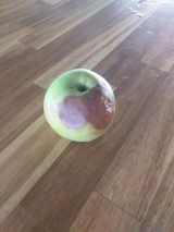 팜모닝 자유주제·자유게시판 게시글 이미지