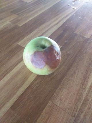 이대로님의 자유주제 · 자유게시판 작성글 사진