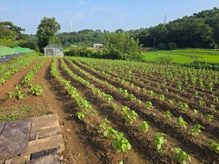 藝園님의 자유주제 · 자유게시판 작성글 사진