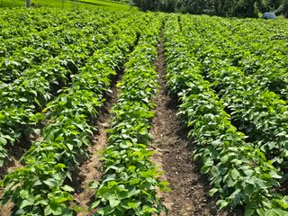 藝園님의 자유주제 · 자유게시판 작성글 사진