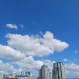 팜모닝 자유주제·자유게시판 게시글 이미지