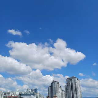 알 수 없음님의 자유주제 · 자유게시판 작성글 사진