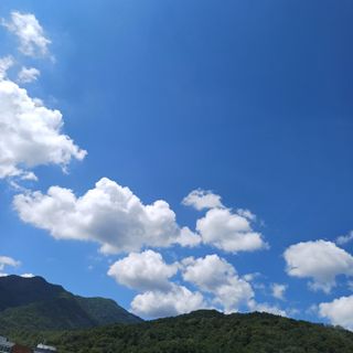 알 수 없음님의 자유주제 · 자유게시판 작성글 사진