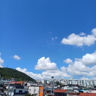 알 수 없음님의 자유주제 · 자유게시판 작성글 사진