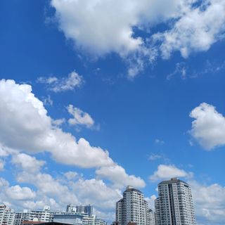 알 수 없음님의 자유주제 · 자유게시판 작성글 사진