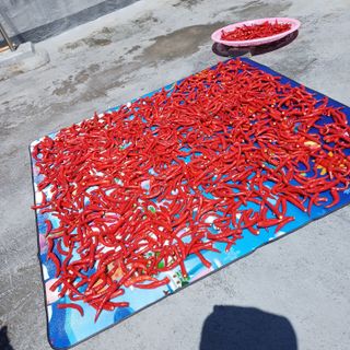 알 수 없음님의 자유주제 · 자유게시판 작성글 사진