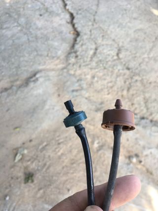 이호승님의 농사, 무엇이든 물어보세요! · 참여글 작성글 사진