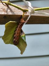 팜모닝 자유주제·자유게시판 게시글 이미지