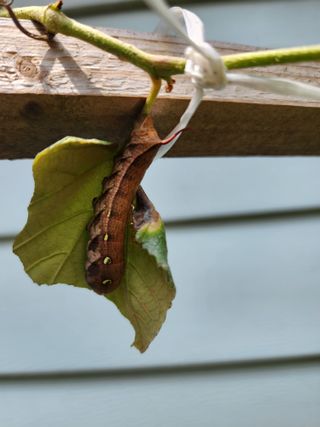 김민주님의 자유주제 · 자유게시판 작성글 사진