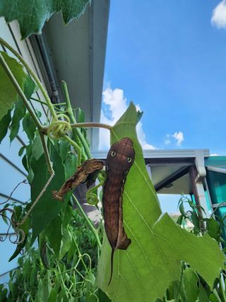김민주님의 자유주제 · 자유게시판 작성글 사진
