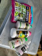 팜모닝 자유주제·자유게시판 게시글 이미지