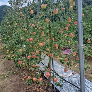 스마일님의 자유주제 · 자유게시판 작성글 사진