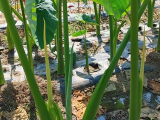 안길원님의 자유주제 · 자유게시판 작성글 사진