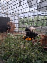 팜모닝 자유주제·자유게시판 게시글 이미지