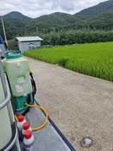 팜모닝 벼·영농일지 게시글 이미지