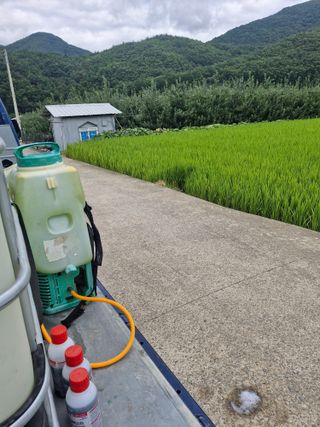 박영석님의 벼 · 영농일지 작성글 사진