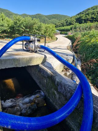 박영석님의 벼 · 영농일지 작성글 사진