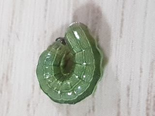 까망고무신님의 고추 · 병해충상담 작성글 사진