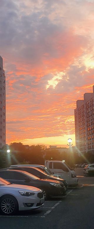 복주농장님의 자유주제 · 사진전 작성글 사진