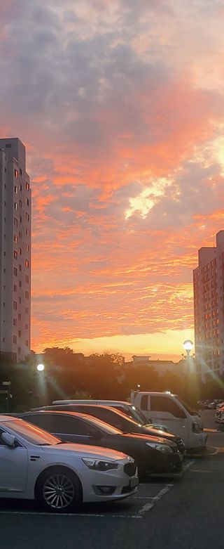 복주농장님의 자유주제 · 사진전 작성글 사진