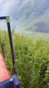 팜모닝 기타작물·영농일지 게시글 이미지