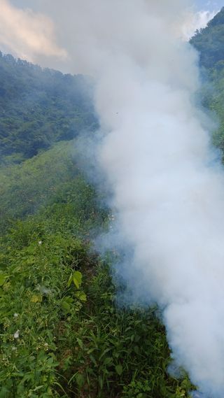 까두까두 님의 기타작물 · 영농일지 작성글 사진