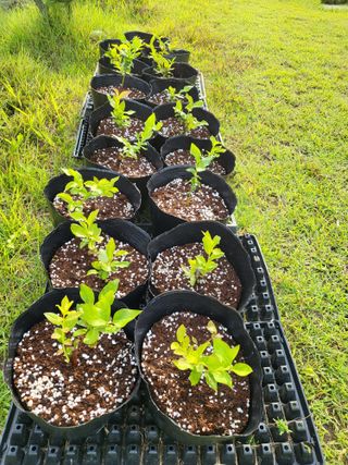 노후를풍요롭게님의 자유주제 · 자유게시판 작성글 사진