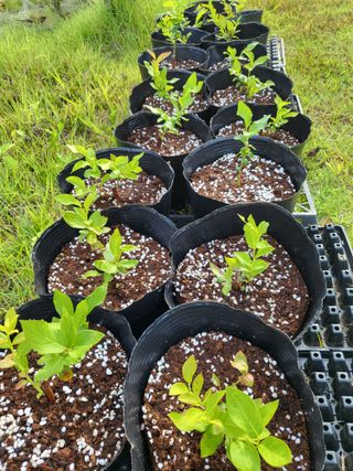 노후를풍요롭게님의 자유주제 · 자유게시판 작성글 사진