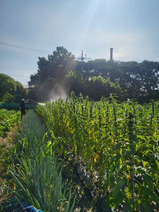 노후를풍요롭게님의 자유주제 · 자유게시판 작성글 사진